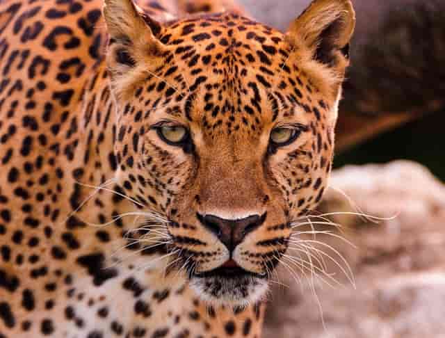 喝醉酒以后发生什么事