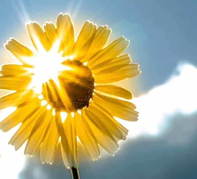 1945年阴历4月17日是什么星座