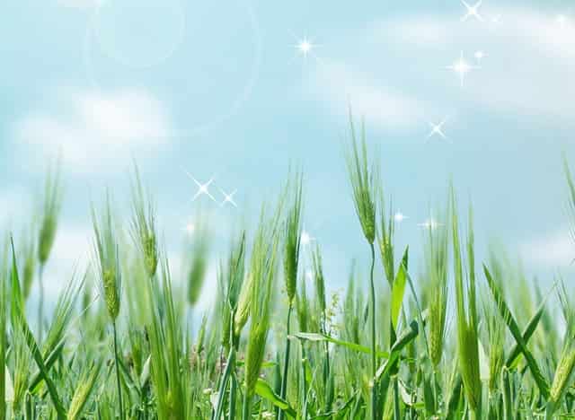 一般投资公司有几家