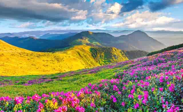 股票投资形势分析