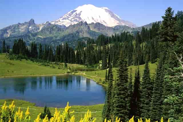 梅西阿根廷有冠军吗