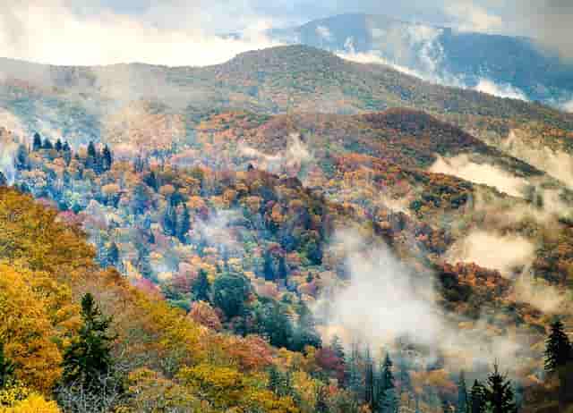 腮红哪个牌子好吃